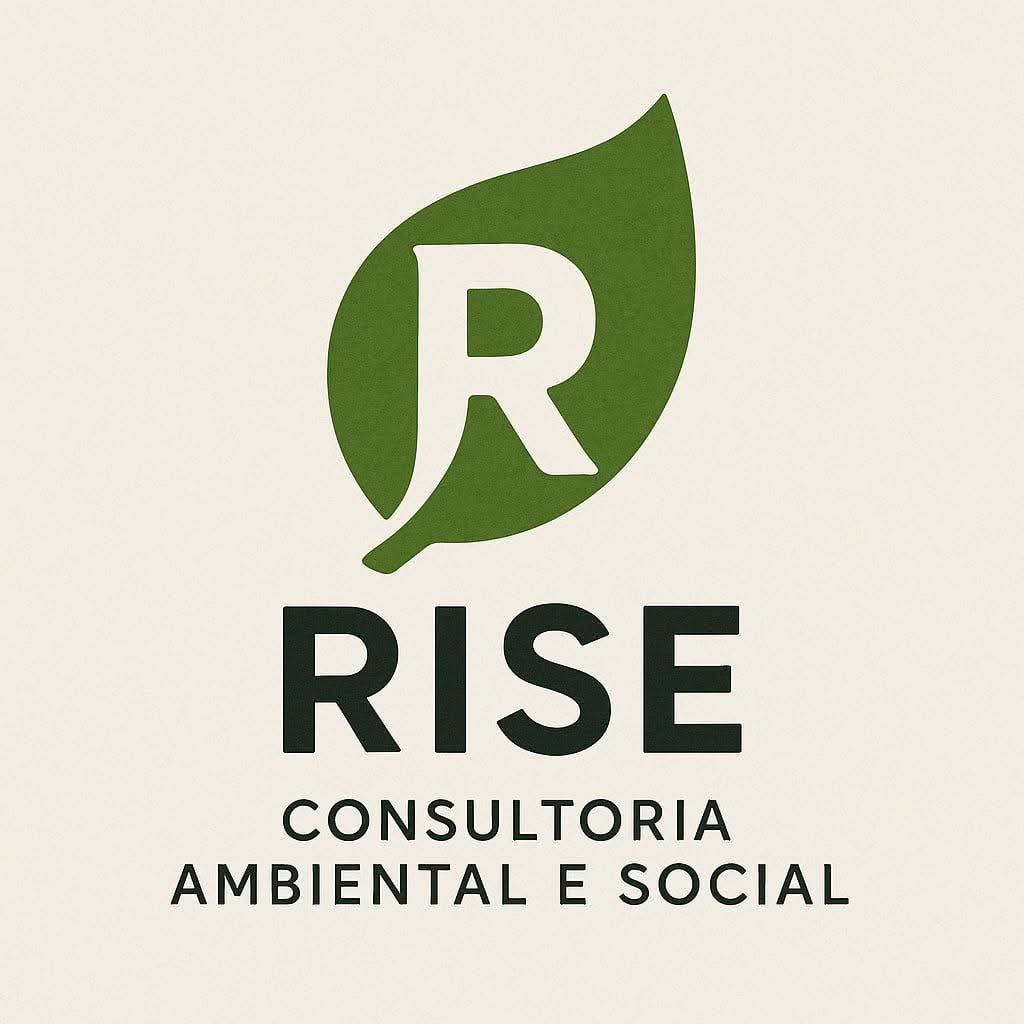 Rise consultoria